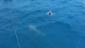 1.2M views · 7.5K reactions | This swimmer seems to have stayed...