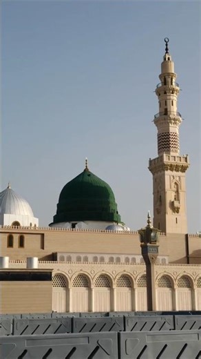 Me Sadake Ya Rasulallaah ﷺ #ytshorts #madina