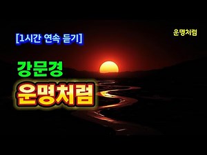 🎤 강문경 감성 폭발｜‘운명처럼’ 1시간 연속 듣기｜감성 트로트 끝판왕#강문경#운명처럼#1시간연속듣기#감성트로트#사랑노래#트로트명곡#강문경노래#트로트감성#이별노래#힐링음악