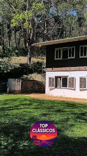 It’s a Heartache 💔 | Rob Stewart & a Beleza da Vida Simples #classicrock #anos80