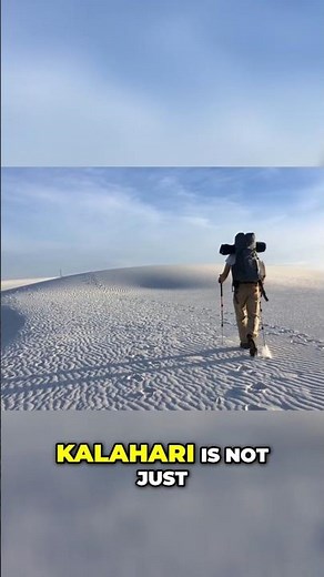 Kalahari Adventure: An Unforgettable Desert Expedition