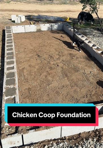 Building a Cinder Block Foundation for Chicken Coops