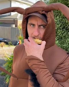 654K views · 16K reactions | Cockroaches get such a bad wrap... 荒 | Tyla | Facebook