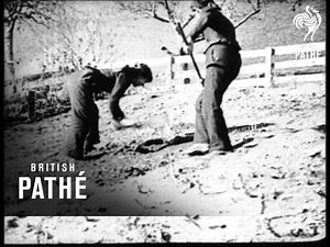 Swiss Women In Mountain Village Dress As Men In Feminine Demonstration (1922)