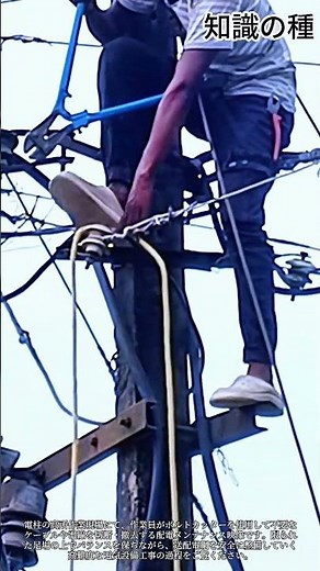 電柱の上で電線を切断・整理する配線メンテナンス