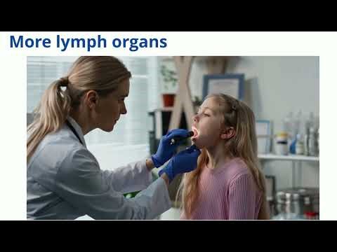 Understanding the lymphatic system the easy way