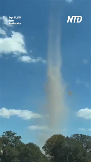 A dust devil spins across an empty field in Bastrop, Texas, on Tuesday. In a video captured by a motorist, brown dirt and dust are seen swirling around the field and then dissipating as it is about to cross Highway 304, in the town located southeast of Austin. | NTD Life