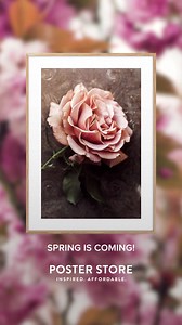 Spring is coming! Open the windows and let the Spring vibes in with fresh posters from Poster Store! 🌸 | Poster Store