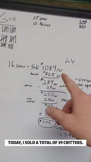 13K views · 451 reactions | After a quick math session #reels #math #farm #money #increase #productivity | Sonne Farms | Facebook