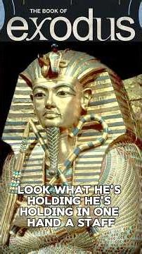 What Did Moses' First Sign Mean?