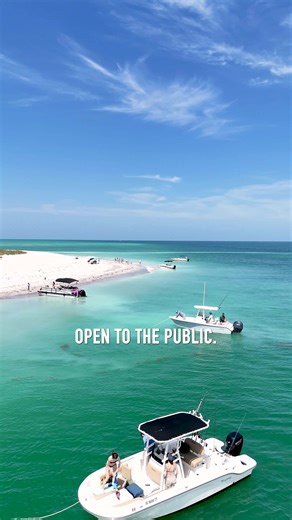 55K views · 591 reactions | Looking for the perfect nature escape? Take our ferry to Egmont Key and explore Florida’s wild side—from shark teeth to seabirds! | Hubbard's Marina | Facebook