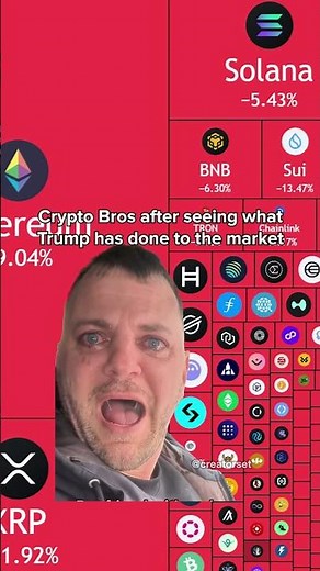 Man Crying and Saying "Chase After them?!" meme - Green Screen