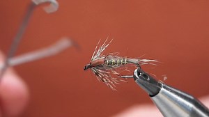 117K views · 946 reactions | What about a generic mayfly nymph?-The...