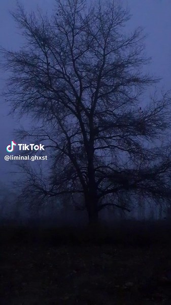 liminal.ghxst on TikTok