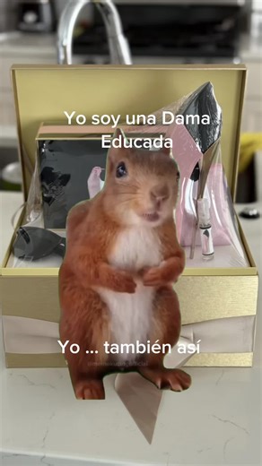 Dama Educada: Un Meme que No Te Puedes Perder