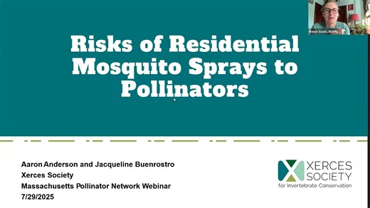 MAPN July 2025 presentation - the harms of backyard mosquito spraying