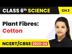 Plant Fibres: Cotton | Class 6 Science Chapter 3 (2022-23)