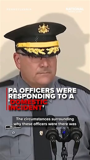 Pennsylvania State Police Commissioner Christopher Paris said in a press conference that the five officers who were involved in a fatal shooting in York, PA, were responding to a "domestic-related" incident before the shooting. The five officers' names and specific departments have not been released to the public. Three officers were killed, and two are currently receiving care for their wounds. READ MORE: https://bit.ly/4njYGGw | The National Desk - TND