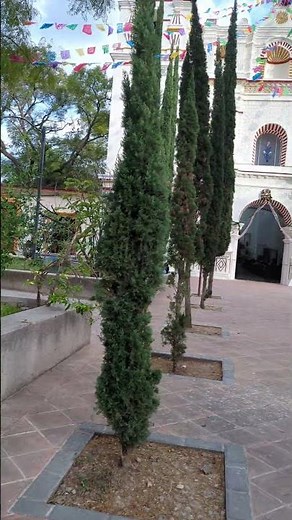 Enjoying Tejate in Zaachila: Oaxacan Flavor and Tradition. Hashtags: #Tejate #Zaachila #FlavorsOf...