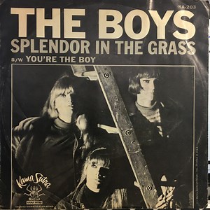 The Boys - Splendor In The Grass
