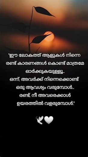 ഈ ലോകത്ത് ആളുകൾ നിന്നെ രണ്ട് കാരണങ്ങൾ കൊണ്ട് മാത്രമേ ഓർക്കുകയുള്ളൂ|malayalam#quotes#sad#true words
