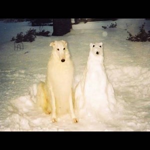 Boyhood by Birth Day