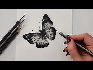 Realistic Butterfly Drawing | Pencil Shading Tutorial