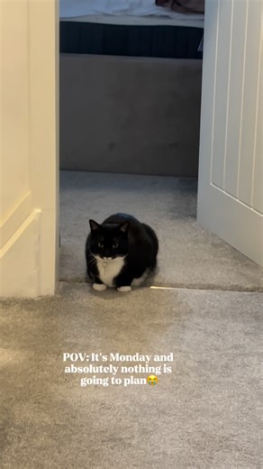 Ruby Thomas | How’s your Monday gone?💕 #mondayvibes #dailyvlog #cleaningday #realistic | Instagram