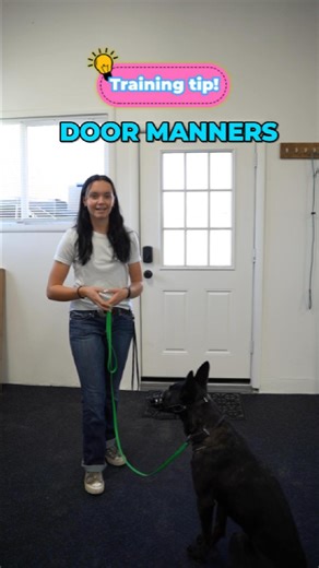 Trainer Tip  Have your dog sit and wait at the door instead of bolting through! This simple exercise builds patience, leash obedience, and dog manners. Want help teaching calm door behavior? Message us today at (720)-741-7625 to schedule your free transformation session! #DogTraining #DogTrainerColorado #PuppyTraining #ObedienceTraining #GemmasK9Training | Gemma's K9 Training | Facebook