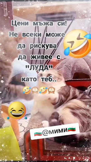 Невероятни смешки и забавление с мими