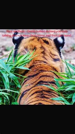 Exploring the Fire of Fruits Basket: Kisa's Journey