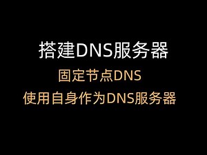 【DNS服务器】在VPS上搭建DNS服务器固定节点DNS