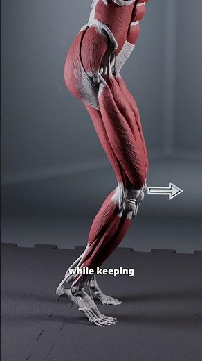 FOOT MOBILITY - HEEL RISES