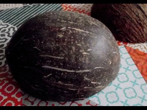 Crafting With Coconut Shell Part 1 of 2 - Cutting and Sanding