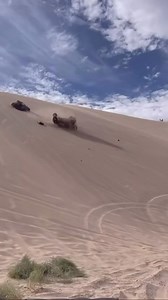 @boardmanville_glamis • Well well well we finally found something that a #speedutv does well… rolls down a hill ok… #glamissanddunes #glamislife #glamis #glamismemories #glamisdunes #glamiscarnage @speed.utv @speedutv_141 @speedutvcartel @speedutvhype @speedutvmamacita | UTV Fails