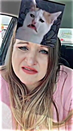 cat meme face 🤓 #cat #catmeme #funny #shorts #cat #memes #cute