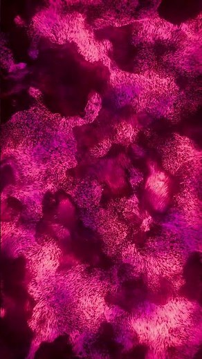 Abstract Fuzzy Neon Grass2b blend0001 0300