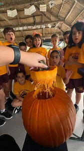 Second grade had an amazing time with our fall STEM activity today! We made predictions about pumpkins, using hands-on learning to answer questions like: How much does it weigh? What’s the circumference? And the ultimate question—will it sink or float? A fun day of discovery and teamwork! 🎃🍂 #FallSTEM #PumpkinScience | Highpoint Academy