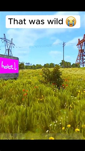 rust reels on Instagram: "#rust #rustclips #rustgame"