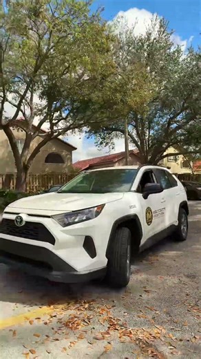 Spot Checks Patrols | Intelligence Protection