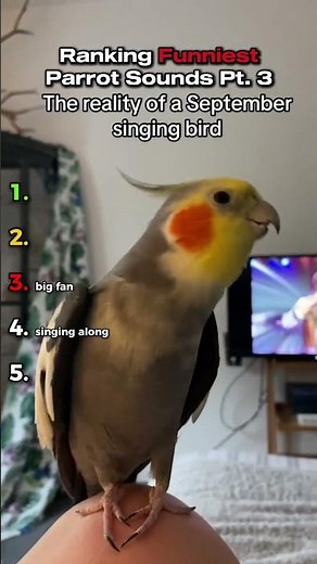 Ranking Funniest Parrot Sounds Pt. 3 #funny