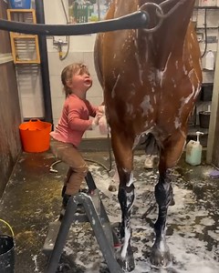 1.9M views · 14K reactions | She's such a cute little helper!殺 | Viral Stories | Facebook