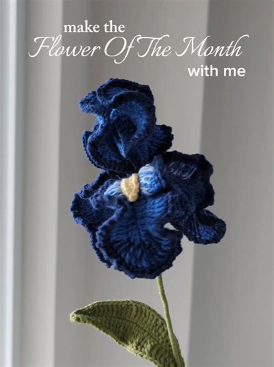 Iris: La Flor del Mes Inspirada en Van Gogh