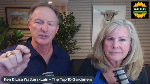 Blue Spruce trees are one of the most beautiful and unique evergreens that grow well in the Central Highlands. Master Gardeners Ken and Lisa Lain share this week how, with a little extra care, you can keep that beautiful silvery blue hue on your Blue Spruce trees. Ken and Lisa also answer additional garden questions in this segment! Not already a Garden Club Member? Click Below to Join and be notified of Plant Preorders and other Special Offers! https://wattersgardencenter.com/pages/garden-care-