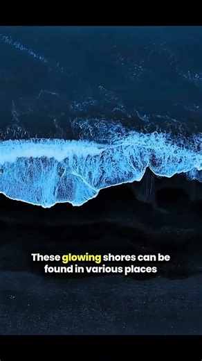 Real-life magic: beaches that glow in the dark.#NatureMagic #OceanWonder #NatureLovers #EarthFacts