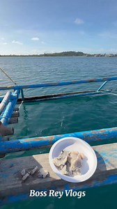 Fresh catch lobster & fish catch & cook. Tara lutuin na natin to fresh from the sea. | BOSS REY VLOGS