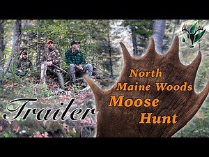 NICE BULL! Trailer: A North Maine Woods moose hunt with Hal Blood
