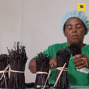 Have you seen how Vanilla is Processed and Packed in Factory? | Mechanical Mind