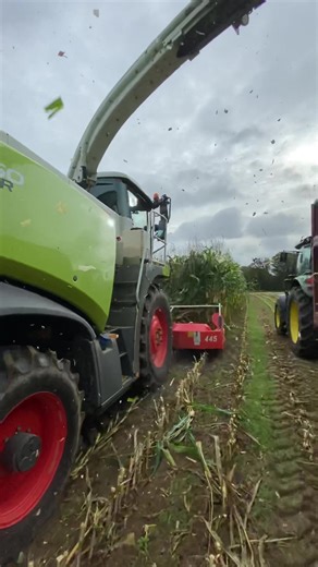 354K views · 10K reactions | Claas Jaguar 860 with a Kemper header...
