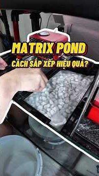 Cách mình sắp xếp vật liệu lọc hiệu quả cho bể lọc tràn dưới và lý do vì sao dùng Matrix Pond🧐
